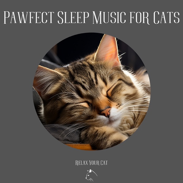 Pawfect Sleep Music for Cats