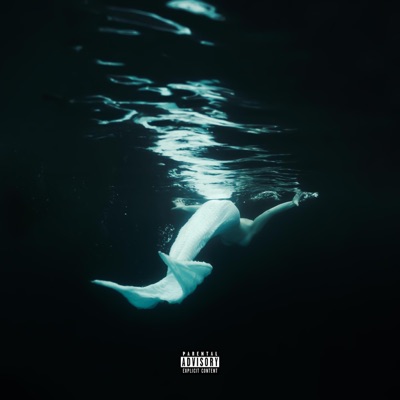 BAJO EL AGUA (feat. Kayko) - Single