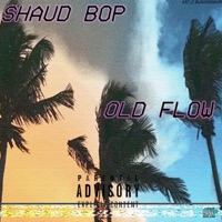 Old Flow - Single - Shaudbop