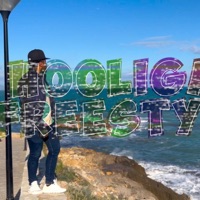 Lil frankie (Hooligan freestyle) - Single - lil frankie baby