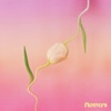 Flowers - Single