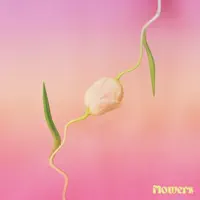 Flowers — Bleu Azur