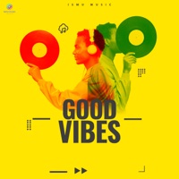 Good Vibe - Single - Paluz45 & Manu Rao
