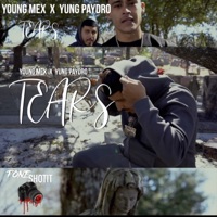 Tears - Single - Yung Paydro