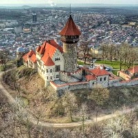 Most - Single - Dynamic