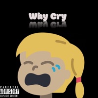 Why Cry (feat. $PAZZ) - Single - TPSTroop