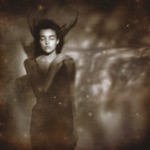 This Mortal Coil - Kangaroo