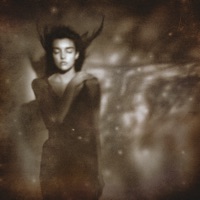 It'll End in Tears (Remastered) - This Mortal Coil