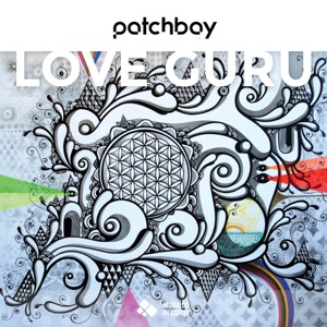 Love Guru - Single