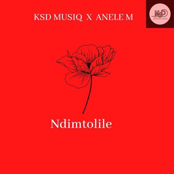 Ndimtolile (feat. Anele M)