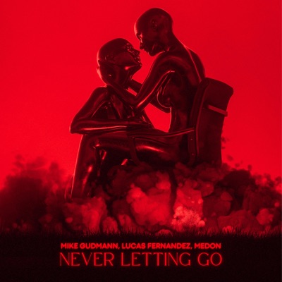 Never Letting Go - Single