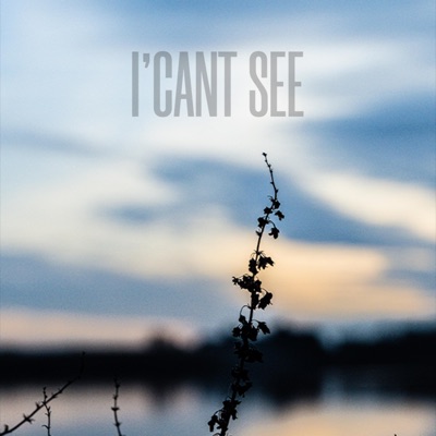 I'Cant See - Single