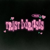 trust exercises artwork