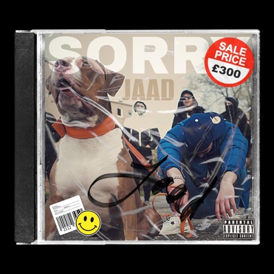 Sorry - Single