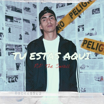 Tú Estás Aquí - Rip The Small (feat. Jwonder, El Tyger 593 & Ghettorap) - Single