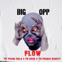 Big Opp Flow (feat. YH Kevo & YH Prince Shorty) - Single - YH Young Dolo