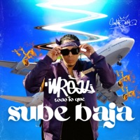 Todo lo que sube baja (feat. Iceod, ROTWAILA & Reke) - Single - Mreal