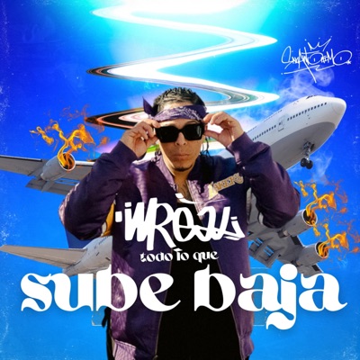 Todo lo que sube baja (feat. Iceod, ROTWAILA & Reke) - Single