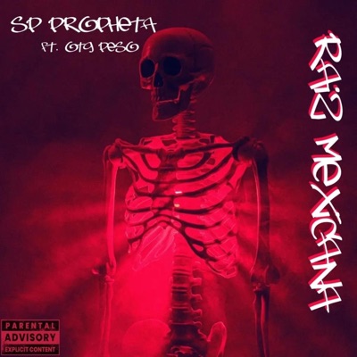 Raiz Mexicana (feat. OTG Peso) - Single