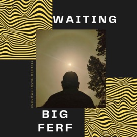 Waiting BIG FERF
