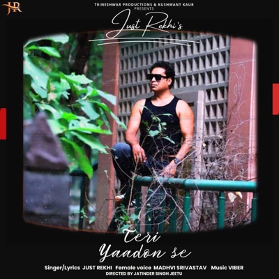 Teri Yaadon Se (feat. Madhvi Shrivastav) - Single