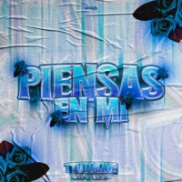 Piensas en mi - Single - Ttutoking