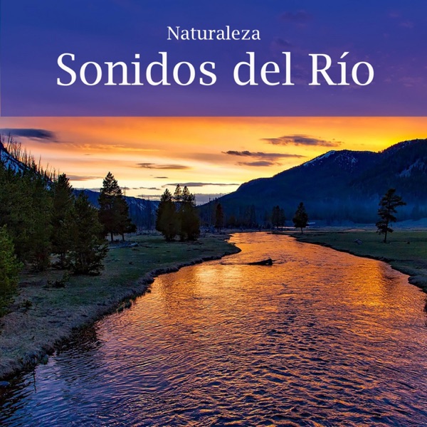 Naturaleza: Sonidos del Rio