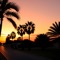 Sunset in Ibiza - Ravonic lyrics