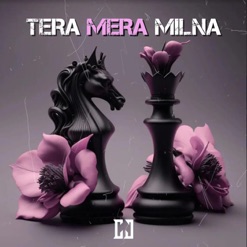 TERA MERA MILNA cover art