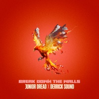 Break Down The Walls - Single - Junior Dread & Derrick Sound