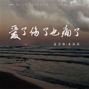 爱了伤了也痛了 - Single