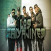 Los Saiyajines (feat. Layter, Gipsy Atg, Flowzeta & Daviles de Novelda) - Single