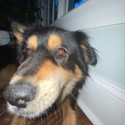 Selfish Ways (feat. Tyla Tha Fatman) - Single