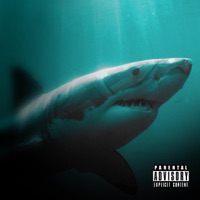 Shark - Single - KeeneVisions