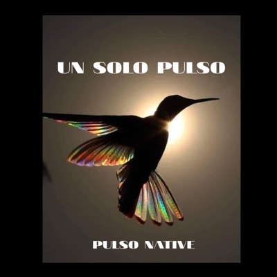 UN SOLO PULSO - Single