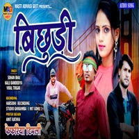 BICHHUDI (feat. SOHAN BHAI RAJAWAT, KALU BANDODIYA & VIRAL TIRGAR) - EP - Masti Adivasi Geet