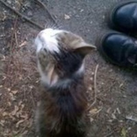 Isolation - Single - Bainz