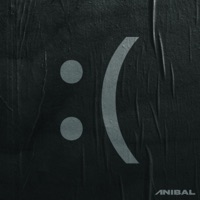 :( - Single - ANIBAL