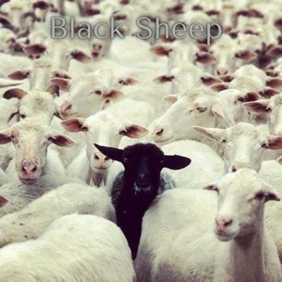 Black Sheep - Single