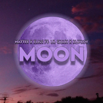 Moon (feat. Lil Shari & Blipboy) - Single