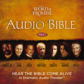 The Word of Promise Audio Bible - New King James Version, NKJV: Complete Bible - Thomas Nelson Cover Art