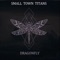 Dragonfly - Small Town Titans lyrics