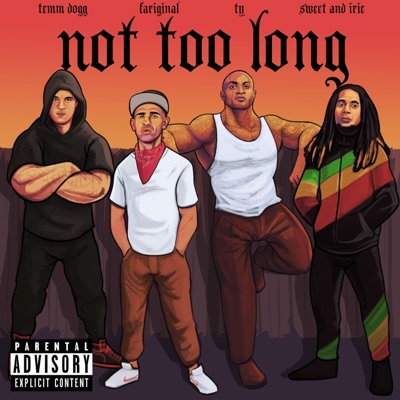 Not Too Long (feat. TY, Temm Dogg & Sweet & Irie) - Single