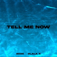 Tell Me Now (feat. dlala x) - Single - ZEZE