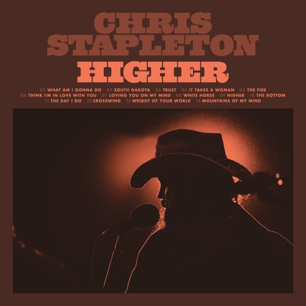 Chris Stapleton - Think I'm In Love With You