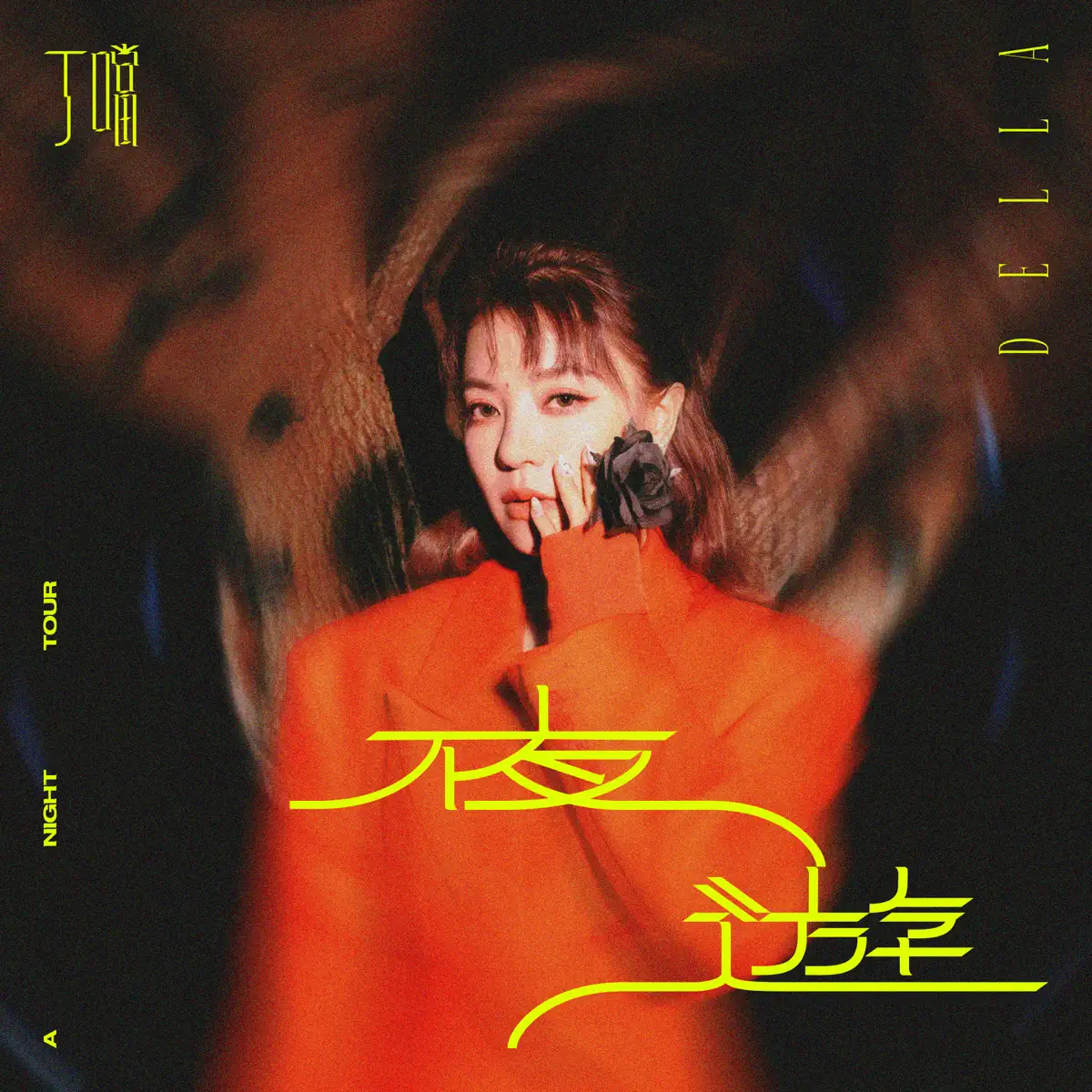 丁噹 - 夜遊 - Single (2023) [iTunes Plus AAC M4A]-新房子
