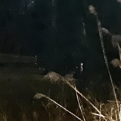 The Occurrence - Single