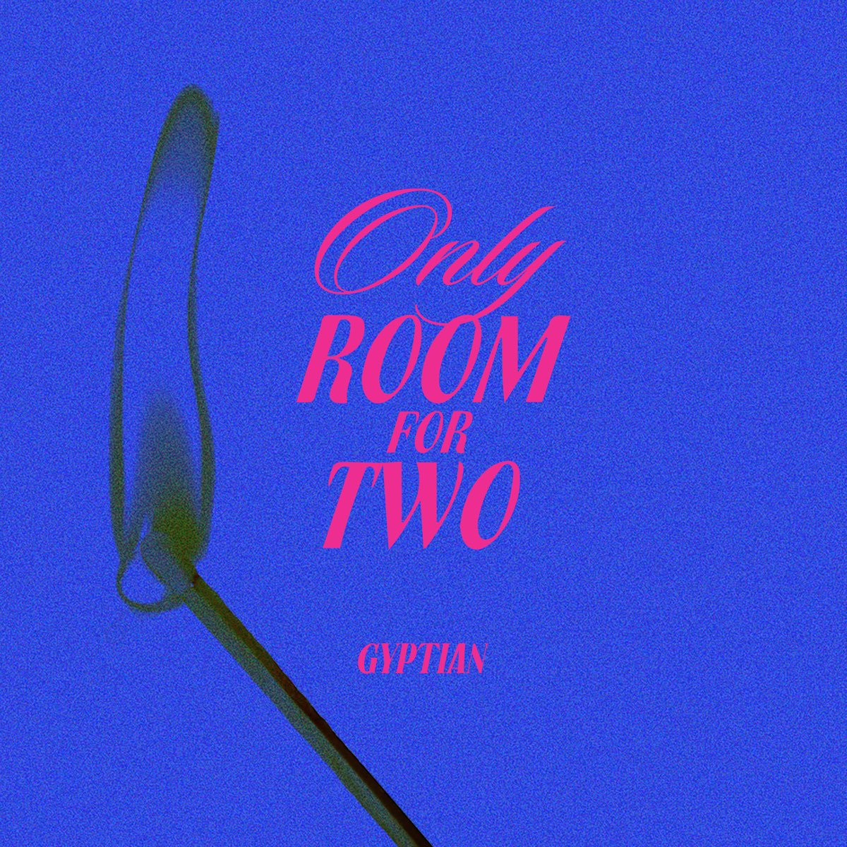 ‎only Room For Two Single By Gyptian On Apple Music