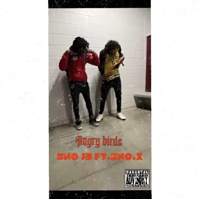 Angry birds (feat. Sno.x) - Single