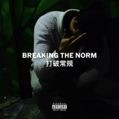 Breaking the Norm artwork